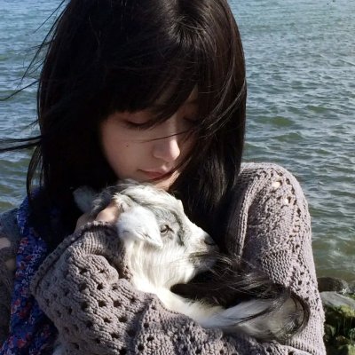 彼得松和芬杜斯3